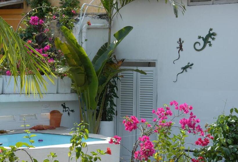 هتل Casa Belle Epoque