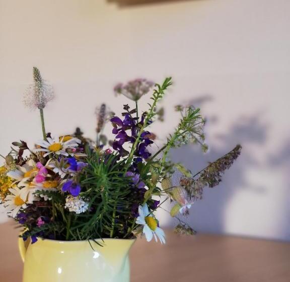 酒店 Gästehaus Midi