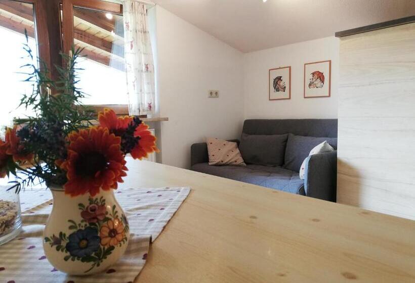 酒店 Gästehaus Midi