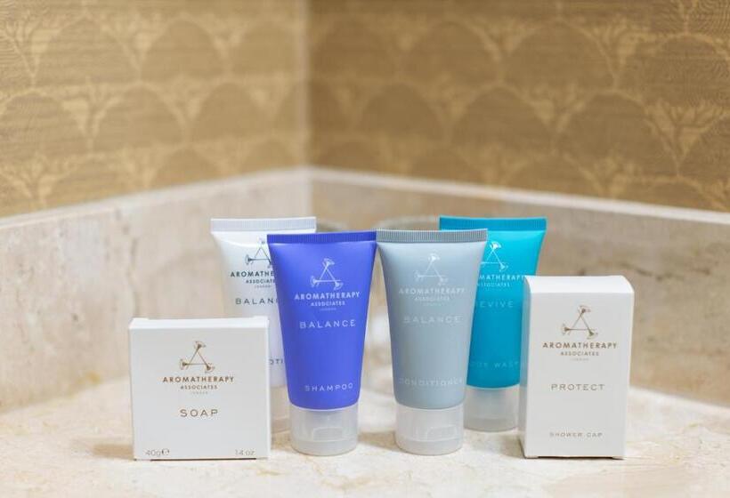 فندق The Towers At Kahler Grand