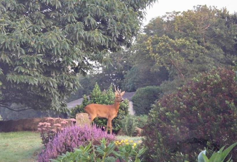 Bed and Breakfast Breizh A Gevret