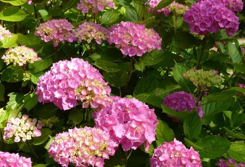 Bed and Breakfast L île ô Reflets