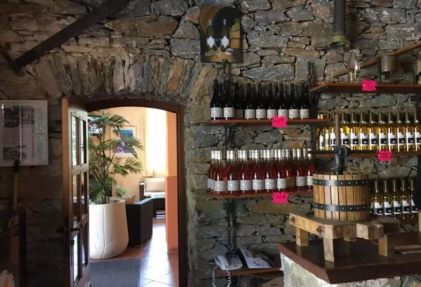 هتل Du Vignoble
