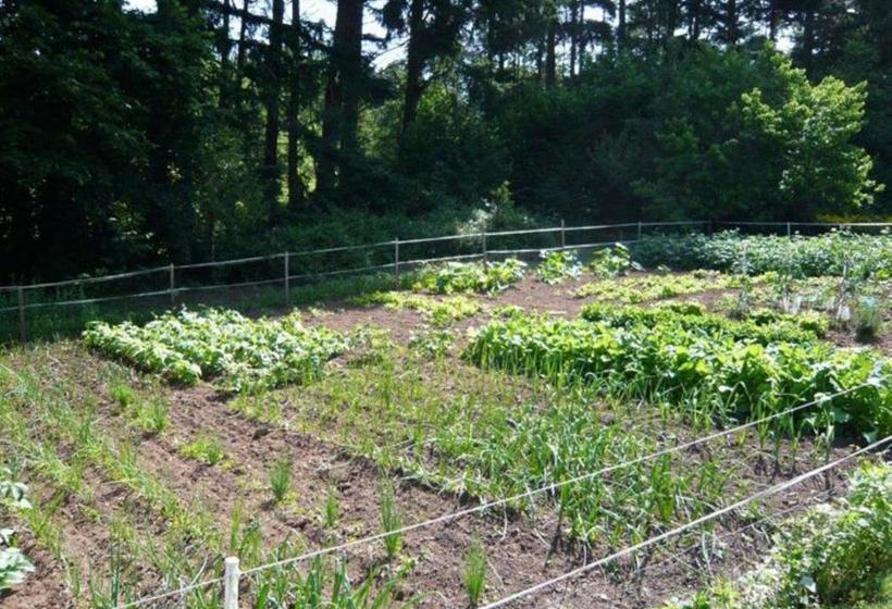 住宿加早餐 Chambres D'hôtes Baudelys