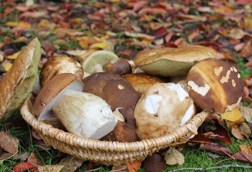 민박 Chambres D Hôtes La Brillève