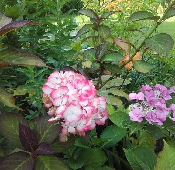 تختخواب و صبحانه Chambres D'hôtes Manoir Du Buquet