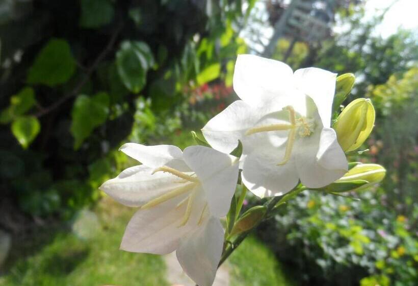 민박 Chambres D Hôtes Rachelle Schneider