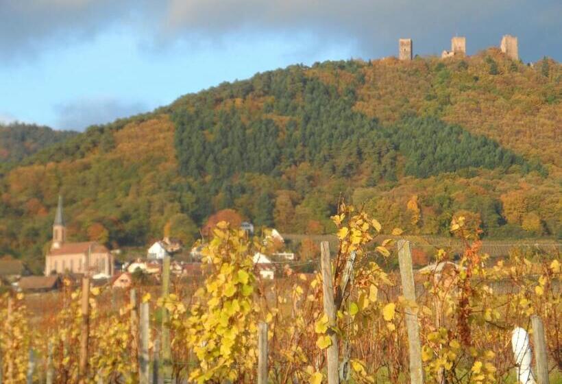 민박 Chambres D Hôtes Rachelle Schneider