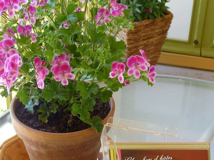 住宿加早餐  La Clé Des Chants