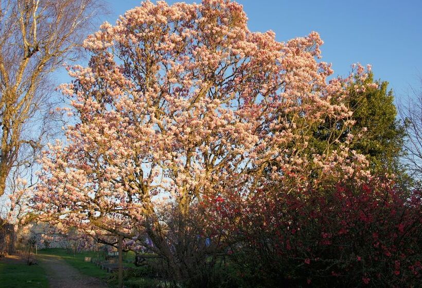 مبيت وإفطار Le Clos De La Muse