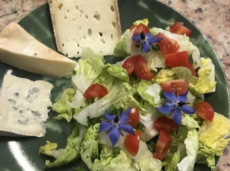 مبيت وإفطار Le Clos De La Muse