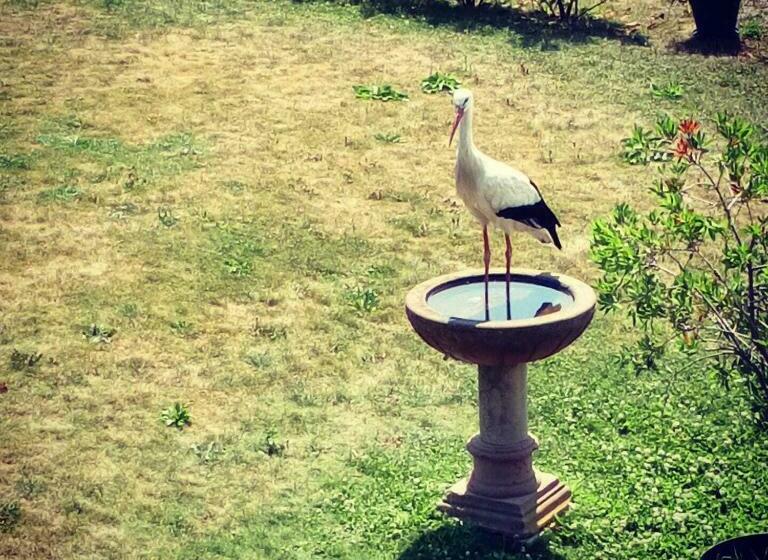 Bed and Breakfast Maison D Hotes Sainte Hune Chambres