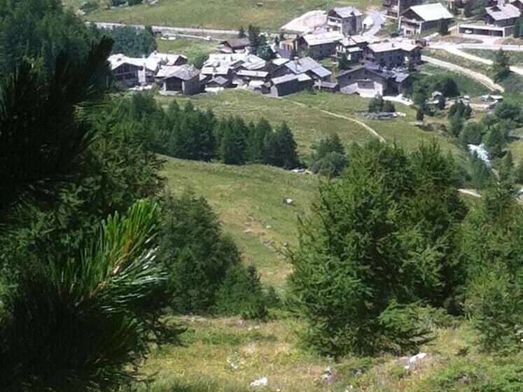 Chalet Hotel Du Fornet