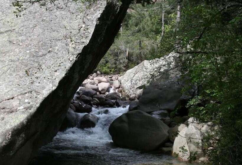 ホテル Auberge De La Foret Bonifatu