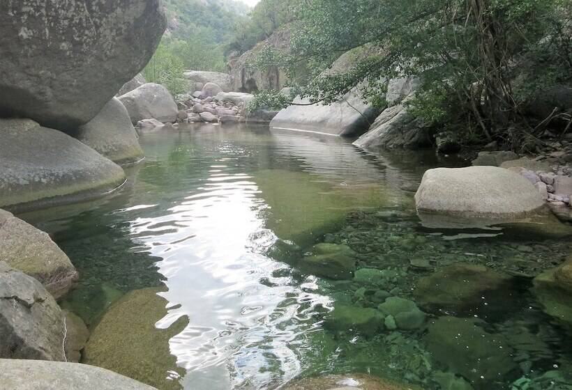 ホテル Auberge De La Foret Bonifatu