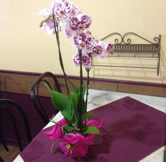 בית מלון כפרי Des Remparts