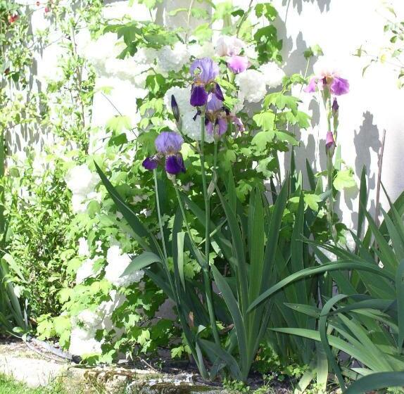 בית מלון כפרי La Maison De Sophie