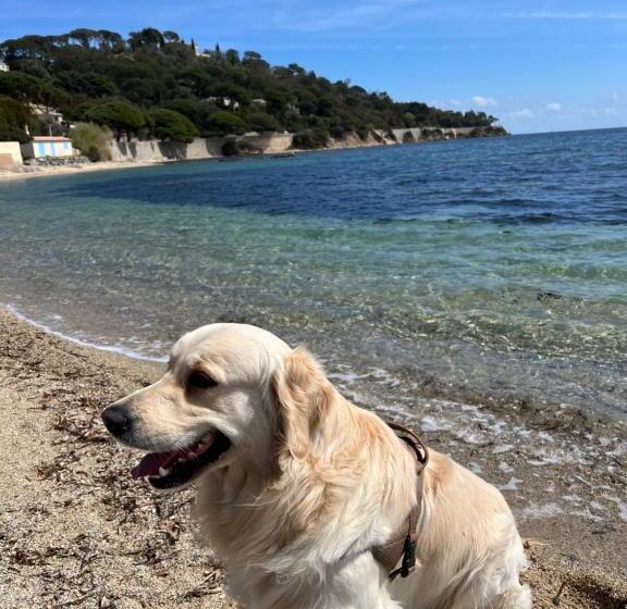 ベッドアンドブレックファースト La Bergerie