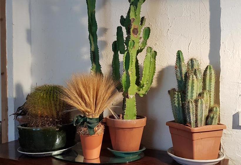 Bed and Breakfast La Marlotte