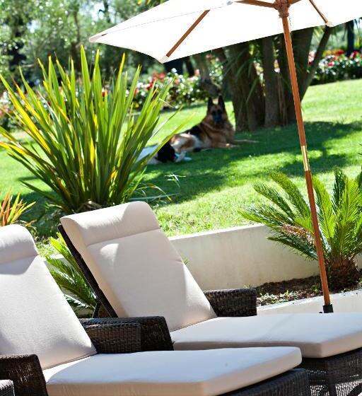 ベッドアンドブレックファースト Le Mas De L Esperance