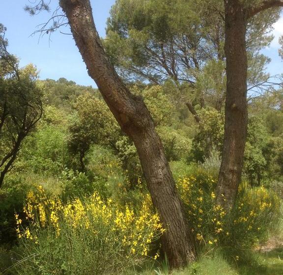 Bed and Breakfast New Cabanon