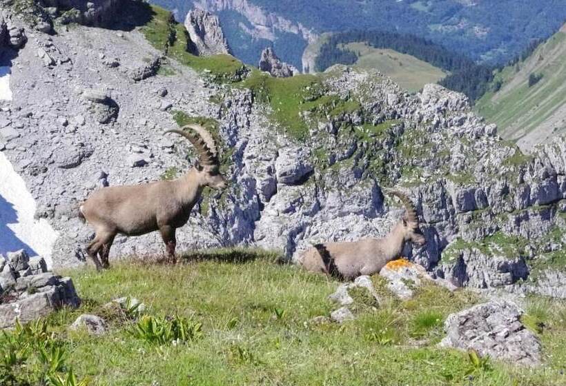 레지던스 Village De Vacances Les Flocons Verts