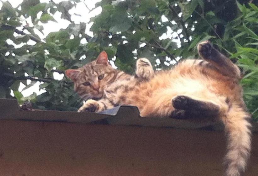 צימר Chambres D'hôtes Villa Mon Repos