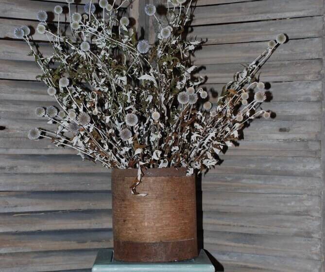 مبيت وإفطار Chambres La Vallée