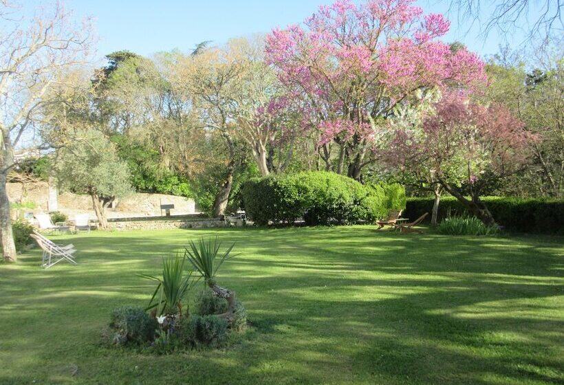 Отель Logis Hôtel Château De Palaja