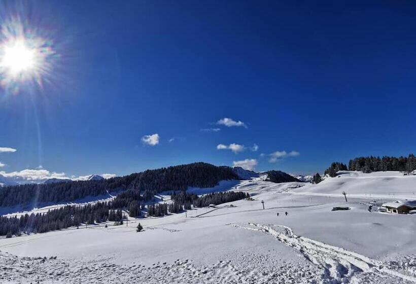 ホテル Hôtel Du Midi