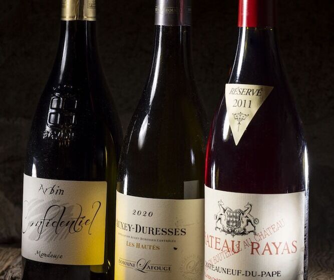 酒店 Hôtel Les Servages D Armelle