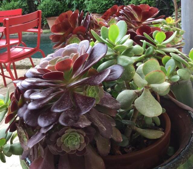 هتل Les Templiers