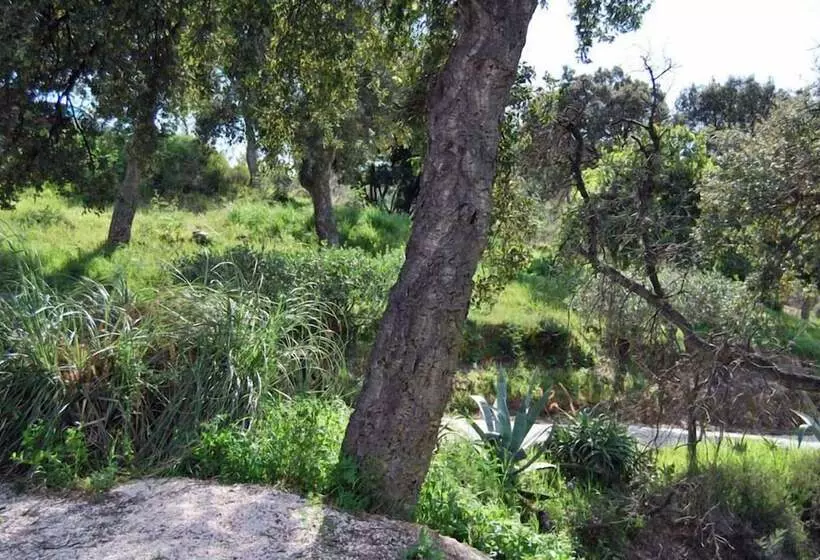 Villa Nais B&b