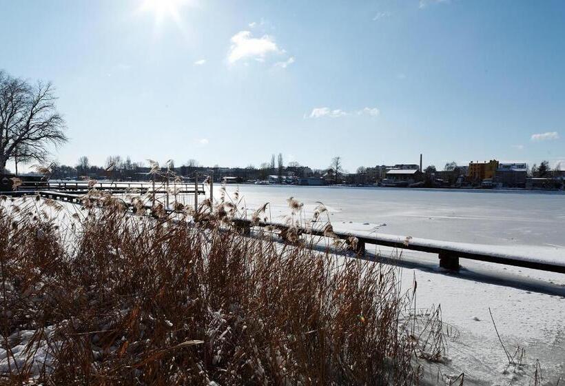 هاستل Seminar Und Gästehaus Flussbad Gartenstrasse