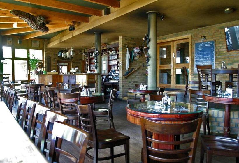 هاستل Seminar Und Gästehaus Flussbad Gartenstrasse