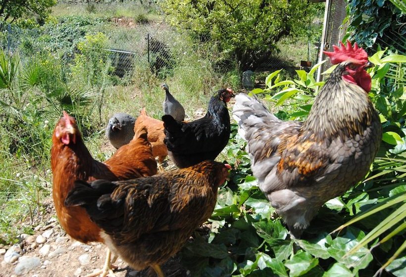 فندق L'orangeraie De La Baronne