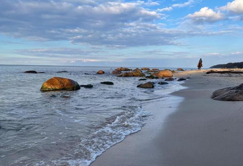 渡假胜地  Ferienanlage Süderhof