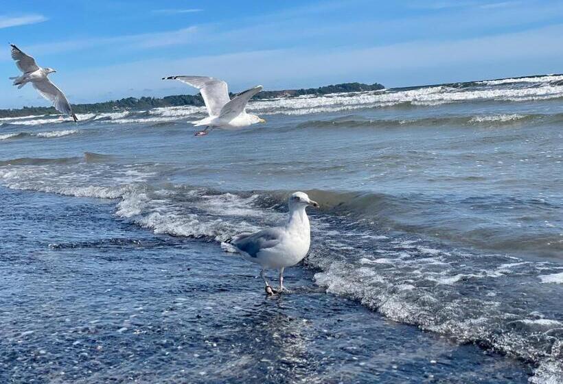 渡假胜地  Ferienanlage Süderhof