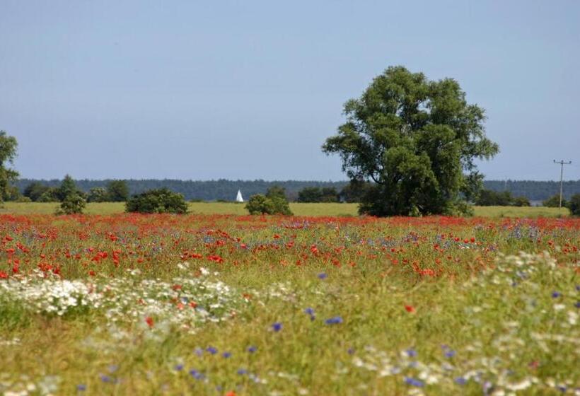渡假胜地  Ferienanlage Süderhof