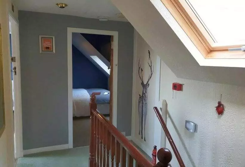 تختخواب و صبحانه Briarbank Guest House