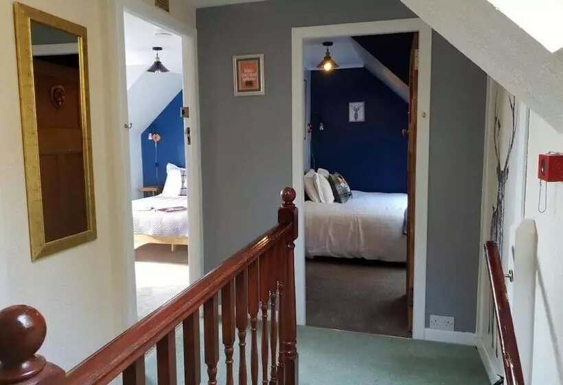 تختخواب و صبحانه Briarbank Guest House