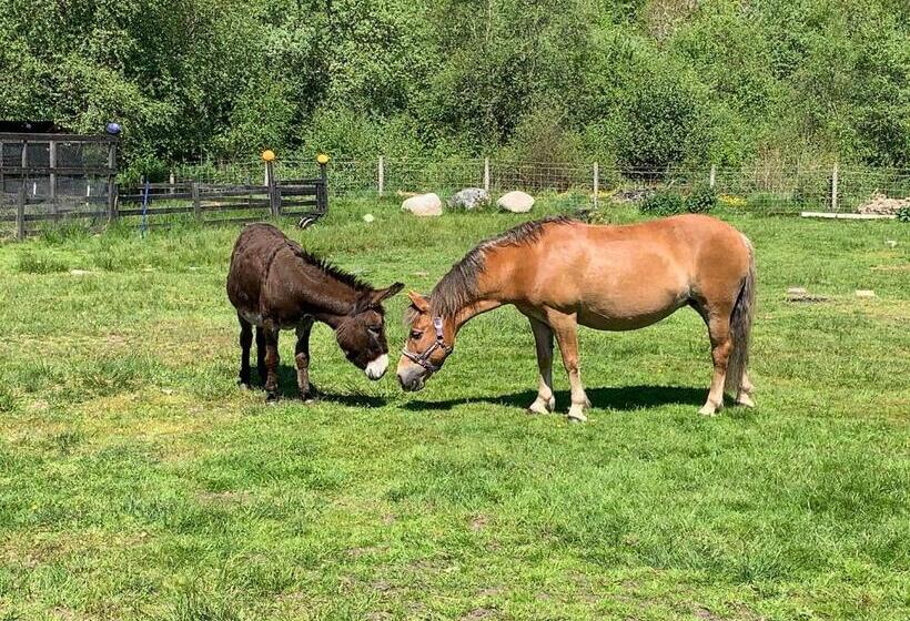 Ceo Mara Croft B&b & 2 Luxury Cabins