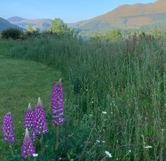 Ceo Mara Croft B&b & 2 Luxury Cabins