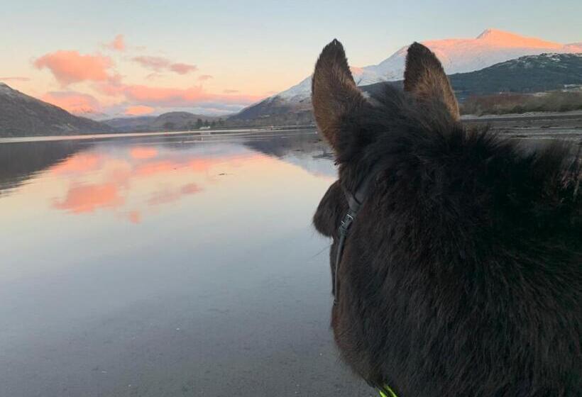 Ceo Mara Croft B&b & 2 Luxury Cabins