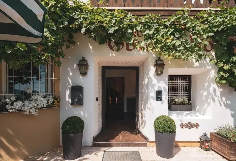 ベッドアンドブレックファースト Villa Sonnenhof Boutique