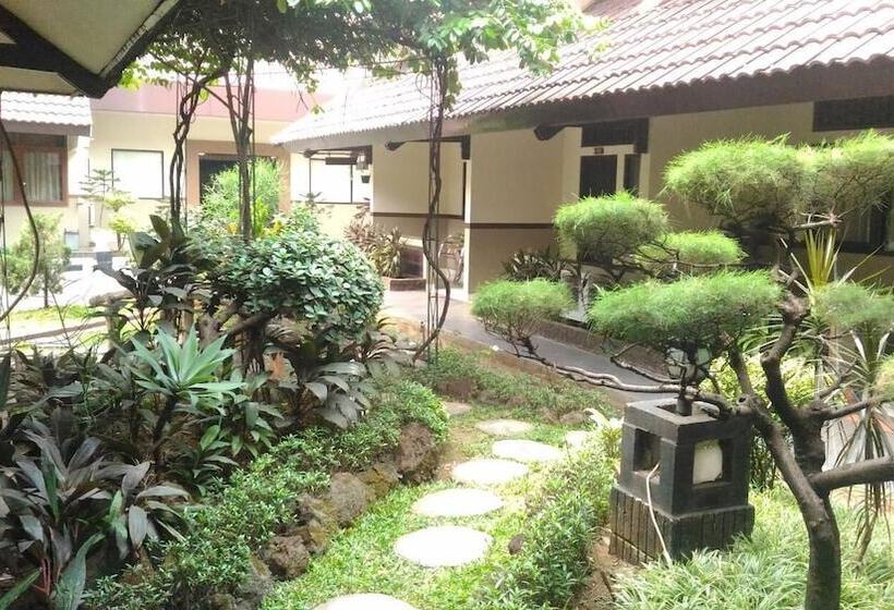 בית מלון כפרי D Arcici  Plumpang