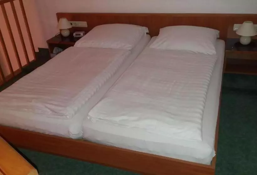 ホテル Altes Wirtshaus Fördergersdorf Bed & Breakfast