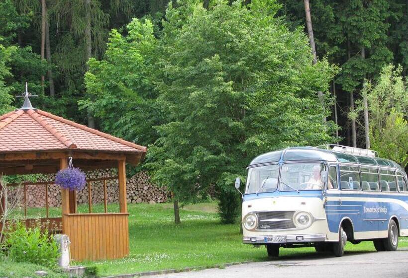 Отель Pension Zum Grünen Wald