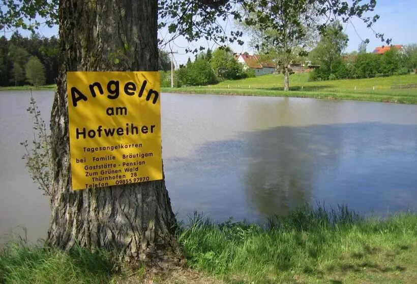 ホテル Pension Zum Grünen Wald