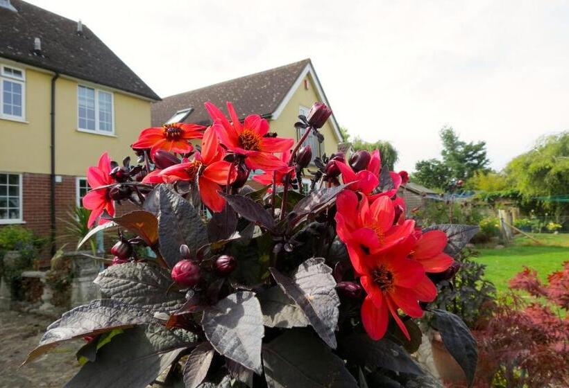 צימר Newmans Lodge